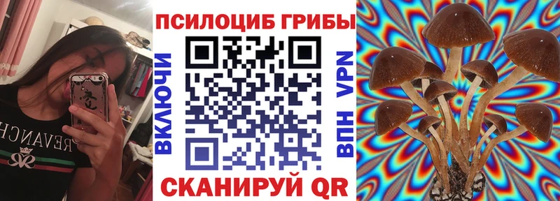 Псилоцибиновые грибы мухоморы Спасск-Дальний